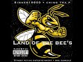 Land Of The Bee's