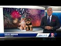 Keeping your pets calm during Fourth of July festivities