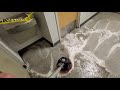 Scrubbing rat nasty floor with Oreck Orbiter XL