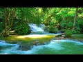 Relaxing Sleep Music for Babies with Beautiful Waterfall Sounds, Nature Sounds - Healing Music