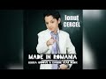 Ionut Cercel - Made in Romania (Leleka Groove & Eugene Star Remix)