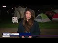 Students set up pro-Palestine encampment at UW | FOX 13 Seattle