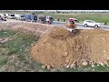 Great Skill !! Small Bulldozer Create a Road for Dump Trucks loading Soil Filling a Big Land