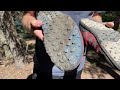 Xero Shoes Scrambler Low vs Mesa Trail 2