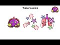 Every DEADLIEST Infection Explained in 12 Minutes