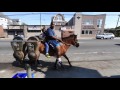 Philly's Urban Cowboys.