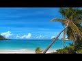 Caribbean Ocean Waves for relaxation, anxiety and stress