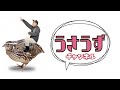 ウズラを飼う前に見てください【鳴き声】