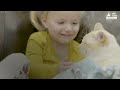 Frozen Kitten Brought Back To Life by Family UPDATE | The Dodo Comeback Kids S02E04
