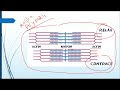 microtubules - lecture 13 - cell biology - شرح بالعربي