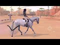 Training With MILTON! ⭐ EQUESTRIAN THE GAME ⭐