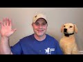 How to train a dog to an Underground Dog Fence - Important Rules To Follow - Don’t Make This Mistake