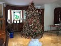 Building the Most Beautiful Christmas Tree (Time Lapse)