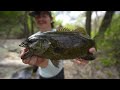 Micro Fishing a TINY CREEK for HUGE BASS! (50+ Fish Day)