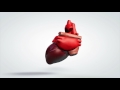 [Updated 2024] Stem Cell Therapy For Heart Disease - Long Term Results