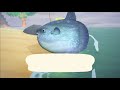 Catching ALL 16 Rare Fish [JULY] - Animal Crossing New Horizons