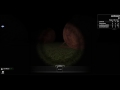 Let's Play Slender On ROBLOX!