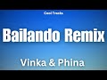 Vinka, Phina - Bailando Remix (Audio)