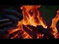 🔥 Serene Bulmeong | Drowsy Bulmeong | rest | Burning firewood | tree burning