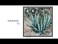 71 ALOE SPECIES | HERB STORIES