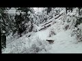 2023 Trail Camera Highlights