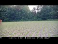 MONSTER Velvet Buck Emerges Into The Bean Field | Browning Spec Ops Advantage