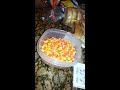 Kieran finds candy corn