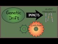 Genetic Drift