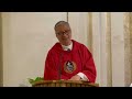(Day 15) KUNG MERON KANG PINAGDARAANAN, DAANAN MO LANG - Homily by Fr. Dave Concepcion /May 16, 2024