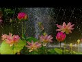Beautiful  Relaxing Music •Peaceful  Piano Music For Stress Relief ~Calming Music~ Morning Music