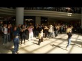 sunridge mall flash mob ,calgary