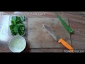 Plantmore Ep 005 - Harvest Your Aloe Without Losing the Plant