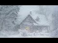Howling Wind & Blowing Snow┇Blizzard Sounds for Sleeping at cabin┇Winter Storm Ambience