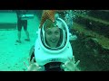 WALKING WITH THE SHARKS ADVENTURE | Atlantis, Bahamas - GoPro Experience