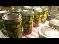 Canning Spicy Garlic Pickles