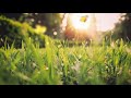 Happy Uplifting Background Music For Spring