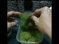 Cheap and Realistic, Make Awesome Miniature Vines for Diorama