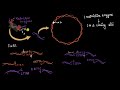 Multiple cloning sites & restriction enzymes | Biotechnology | Biology | Khan Academy