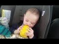 Funny Cute Baby Eating Lemon