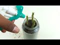 Grow rose tree from rose cuttings with garlic to natural rooting hormone !!!