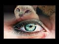 How to Paint a Realistic Eye - Watercolor Portrait Tutorial