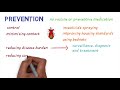 Chagas Disease - An overview