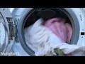 Stress Test - Throwing wet towels in washing machine while spinning