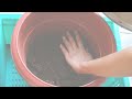 HOW TO MAKE COMPOST AT HOME FROM KITCHEN AND GARDEN WASTE | Easiest ways | Charu Guglani |