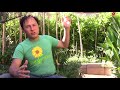 Best Shade Cloth to Reduce Temperature of Plants for Your Vegetable Garden