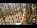 99 Incredible DANGEROUS Big Tree Harvester Machines And Powerful Transporter