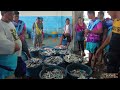 Libas Fishing Port: Bagsakan ng isda sa ROXAS CITY CAPIZ