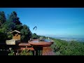 Western bluebirds in the Santa Cruz Mountains