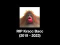 RIP Kracc Bacc