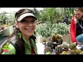 Cactus & Succulent Show by the Irish Cactus & Succulent Society 2024 #cactus #cacti